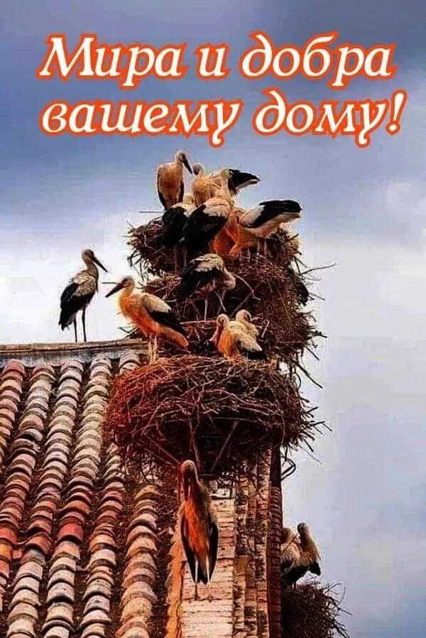 Мира и добра вашему дому!