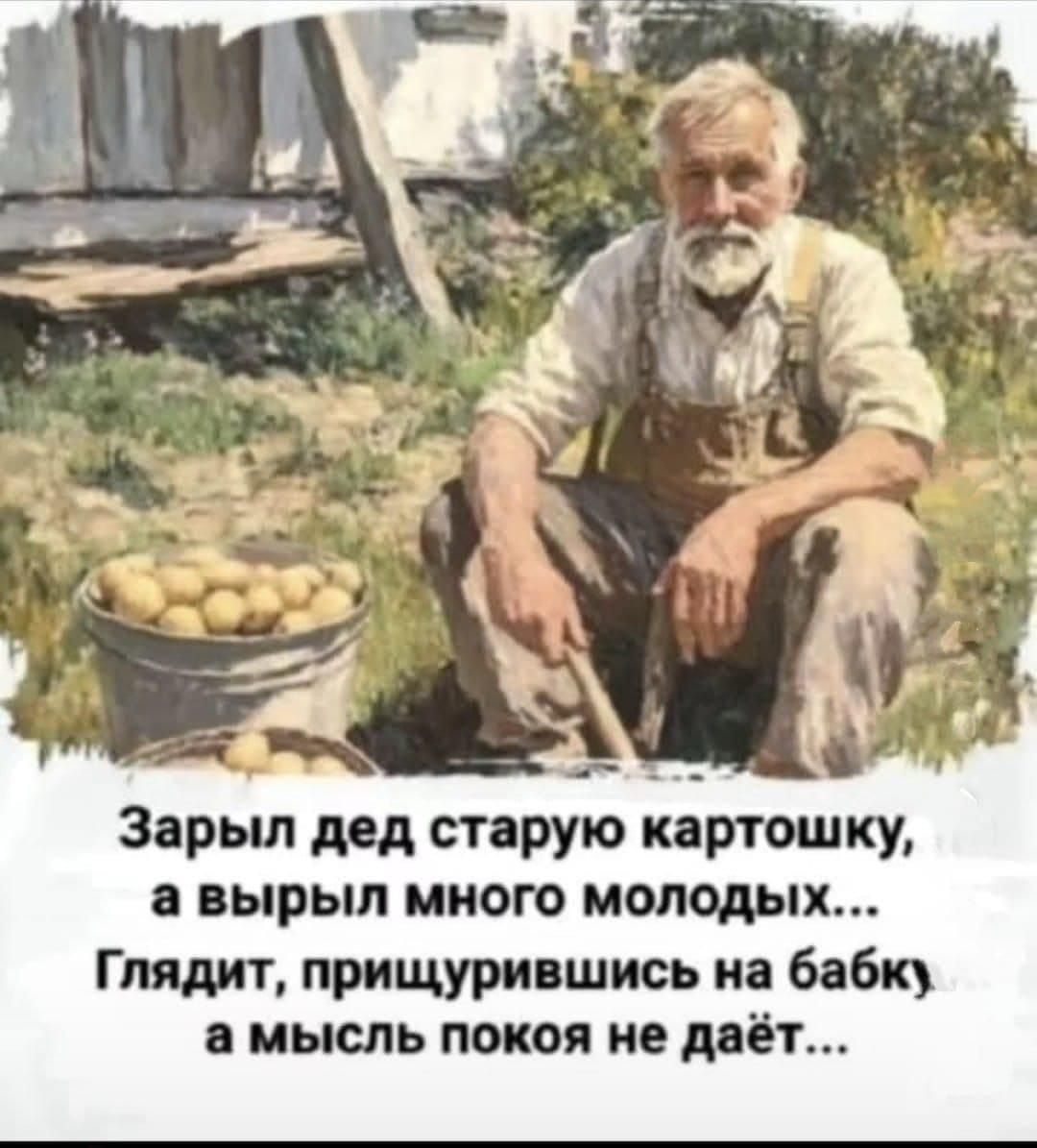 Зарыл дед старую картошку, а вырыл много молодых... Глядит, прищурившись на бабку, а мысль покоя не даёт...