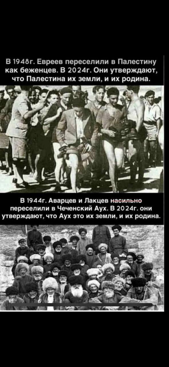 В 1948г. Евреев переселили в Палестину как беженцев. В 2024г. Они утверждают, что Палестина их земли, и их родина.

В 1944г. Аварцев и Лакцев насильно переселили в Чеченский Аух. В 2024г. они утверждают, что Аух это их земли, и их родина.