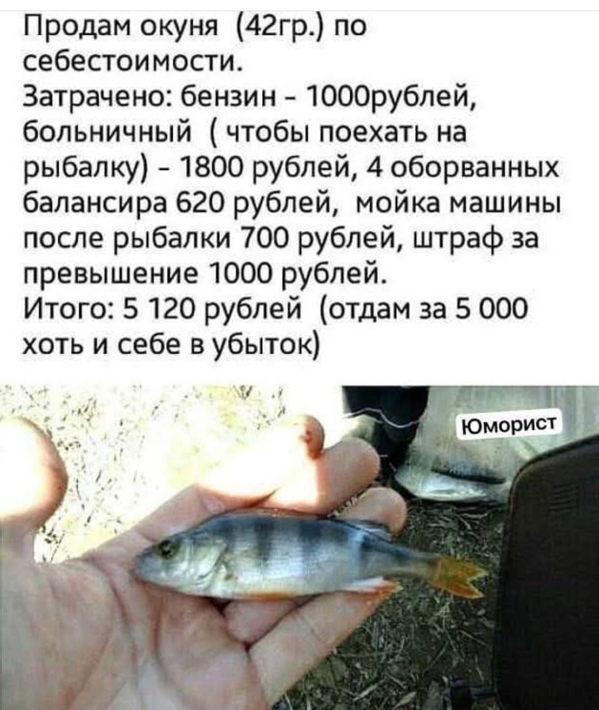Продаю окуня (42гр.) по себестоимости. Затрачено: бензин - 1000 рублей, больничный (чтобы поехать на рыбалку) - 1800 рублей, 4 оборванных баланса - 620 рублей, мойка машины после рыбалки - 700 рублей, штраф за превышение - 1000 рублей. Итого: 5 120 рублей (отдам за 5 000 хоть себе в убыток)