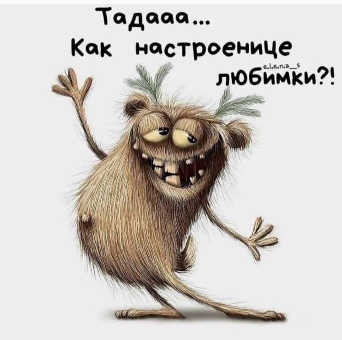 Тадааа... Как настроение любимки?!