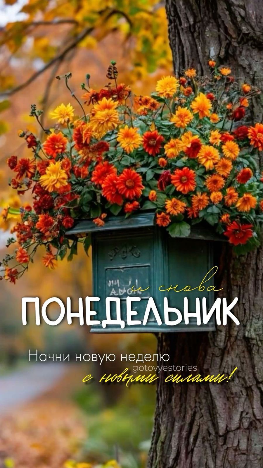 снова ПОНЕДЕЛЬНИК Начни новую неделю с новыми силами!