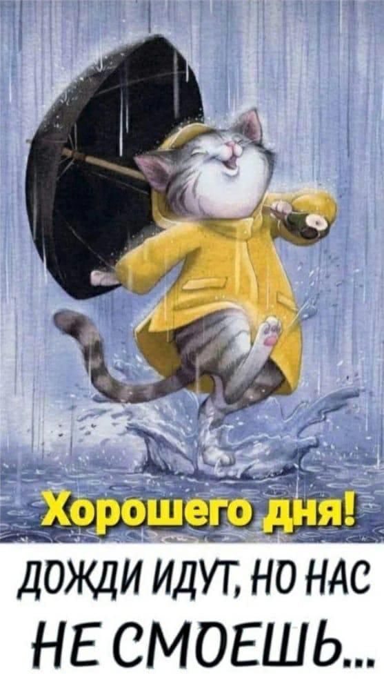 Хорошего дня!
Дожди идут, но нас не смоешь...