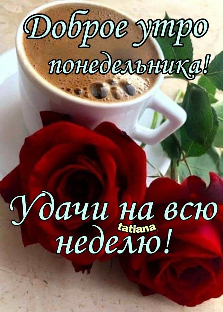 Доброе утро понедельника! Удачи на всю неделю!