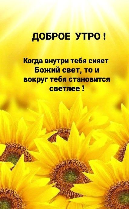 ДОБРОЕ УТРО !
Когда внутри тебя сияет Божий свет, то и вокруг тебя становится светлее !