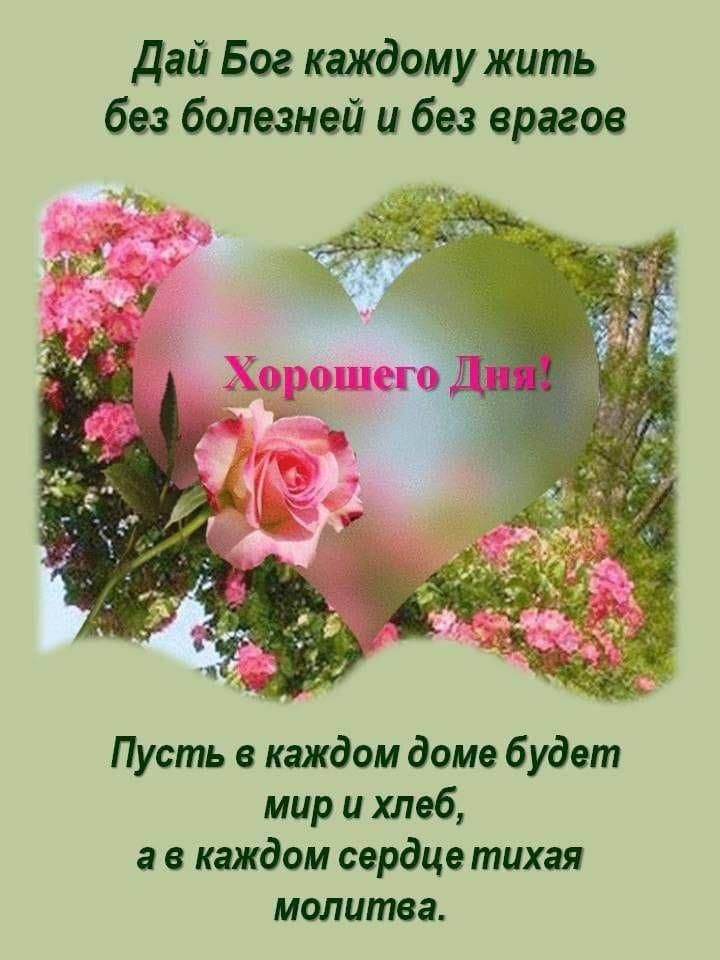 Дай Бог каждому жить без болезней и без врагов
Хорошего Дня!
Пусть в каждом доме будет мир и хлеб, а в каждом сердце тихая молитва.