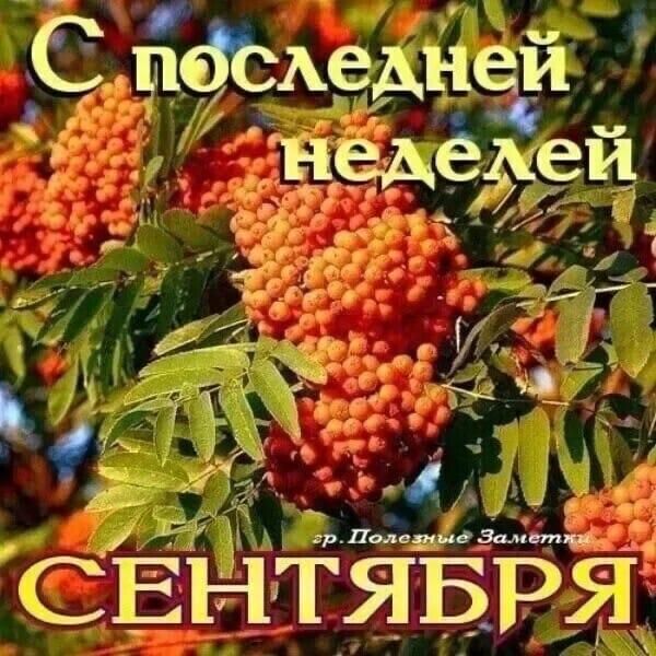 С последней неделей СЕНТЯБРЯ
