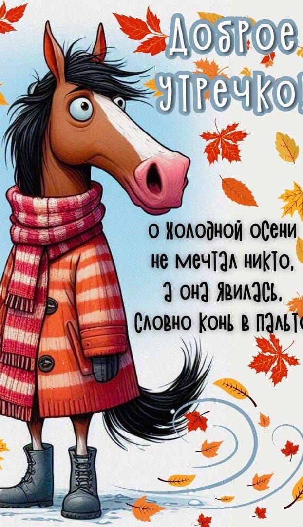 Доброе утречко! о холодной осени не мечтал никто, а она явилась, словно конь в пальто.