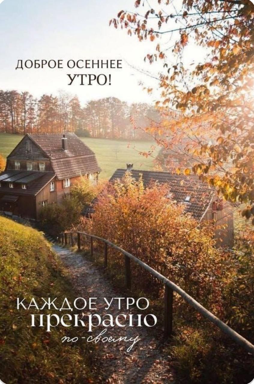 ДОБРОЕ ОСЕННЕЕ УТРО! КАЖДОЕ УТРО прекрасно по-своему