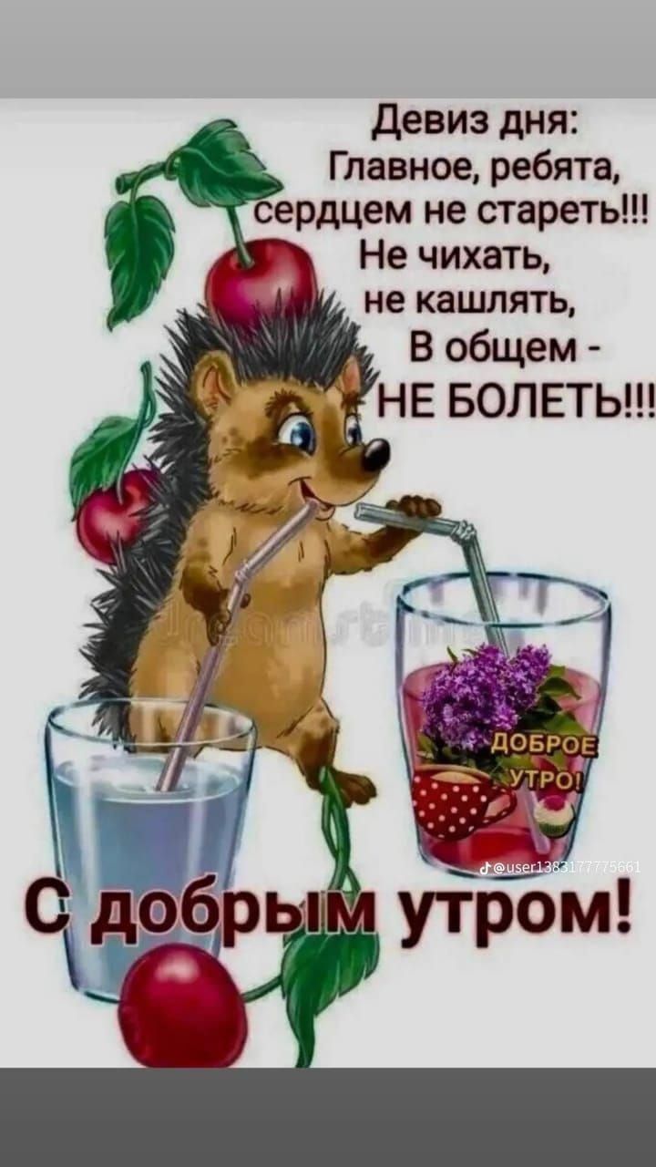 Девиз дня: Главное, ребята, сердцем не стареть!!! Не чихать, не кашлять, В общем - НЕ БОЛЕТЬ!!! С добрым утром!