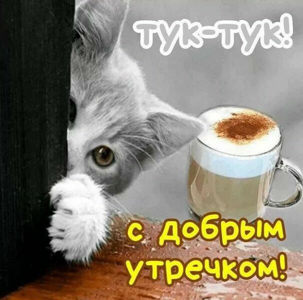 ТУК-ТУК! с добрым утречком!