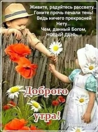 Живите, радуйтесь рассвету..
Гоните прочь печали тени!
Ведь ничего прекрасней
Нету...
Чем, данным Богом, НОВЫЙ ДЕНЬ...
Доброе утро!