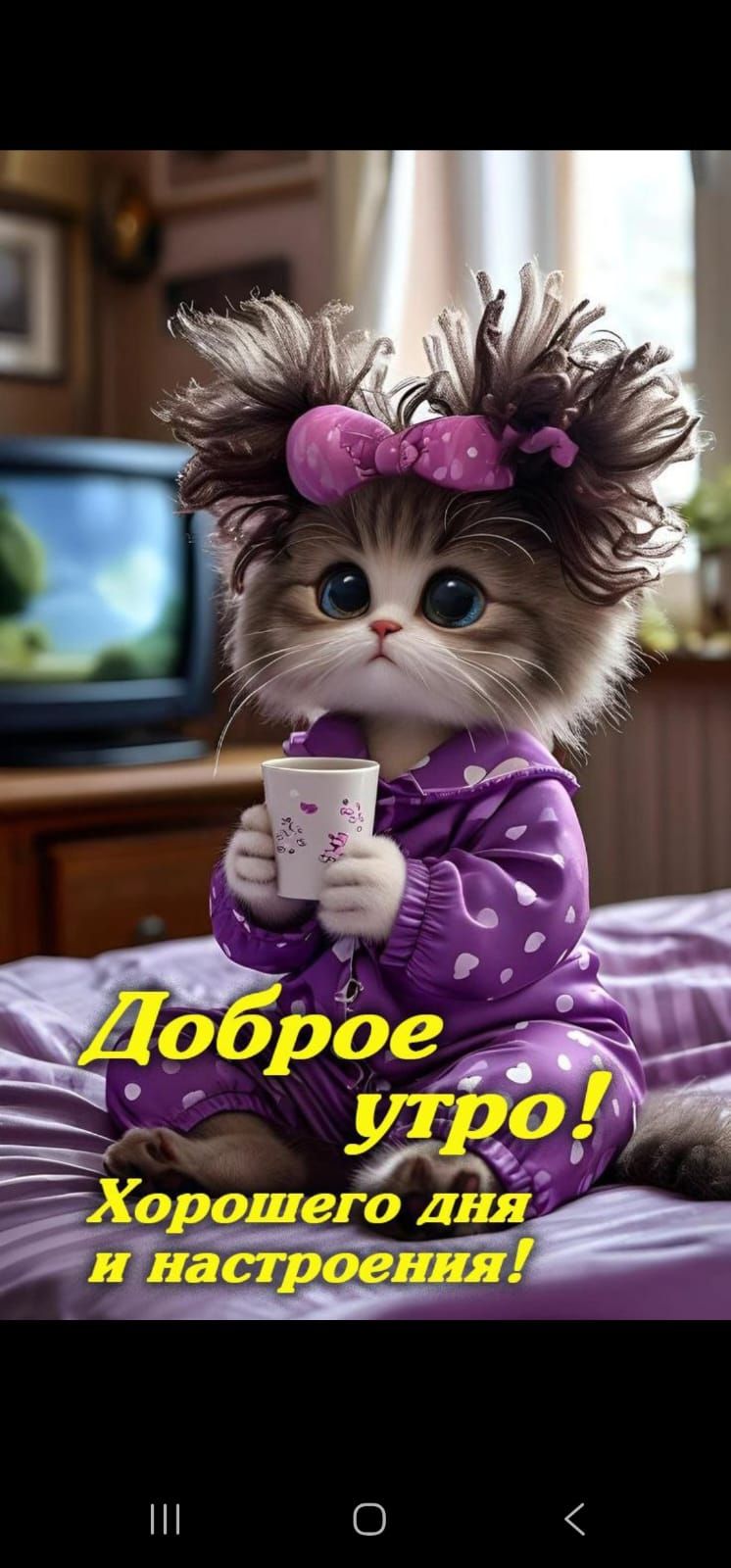 Доброе утро! Хорошего дня и настроения!