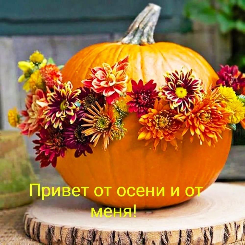 Привет от осени и от меня!