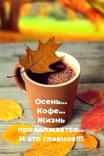 Осень... Кофе... Жизнь продолжается... И это главное!!!