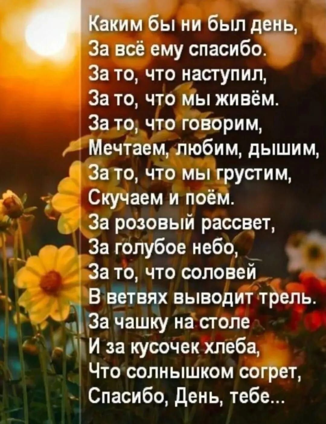Каким бы ни был день,
За всё ему спасибо.
За то, что наступил,
За то, что мы живём.
За то, что говорим,
Мечтаем, любим, дышим,
За то, что мы грустим,
Скучаем и поём.
За розовый рассвет,
За голубое небо,
За то, что соловей
В ветвях выводит трель.
За чашку на столе
И за кусочек хлеба,
Что солнышком согреет,
Спасибо, День, тебе...
