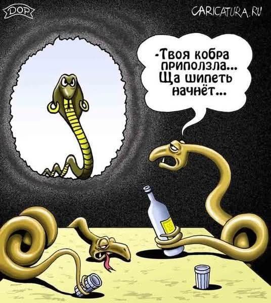 Твоя кобра приползла... Ща шипеть начнёт...