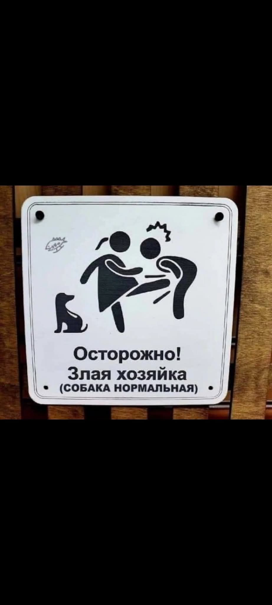 Осторожно! Злая хозяйка (собака нормальная)