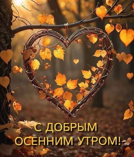 С ДОБРЫМ ОСЕННИМ УТРОМ!