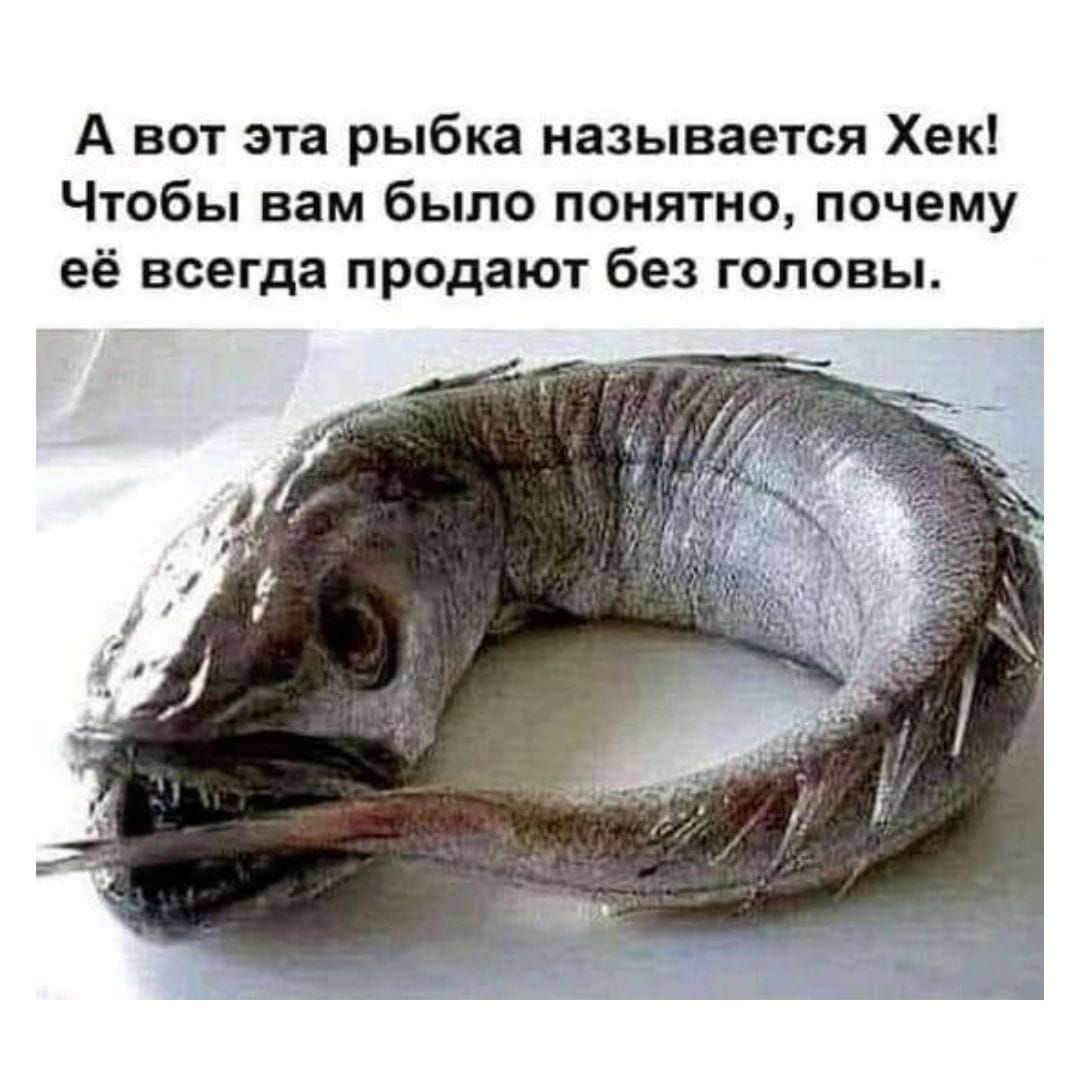А вот эта рыбка называется Хек! Чтобы вам было понятно, почему её всегда продают без головы.