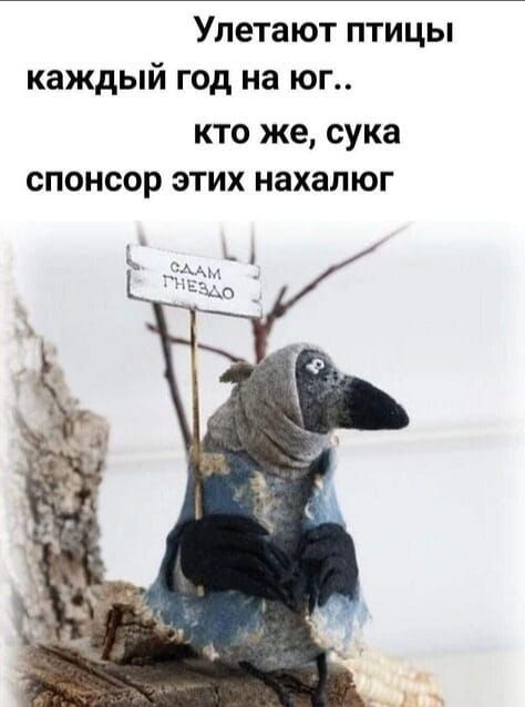 Улетают птицы каждый год на юг.. кто же, сука, спонсор этих нахалюг
Садим гнездо