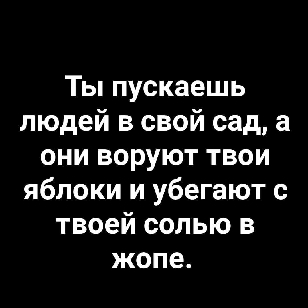 Ты пускаешь людей в свой сад, а они воруют твои яблоки и убегают с твоей солью в жопе.