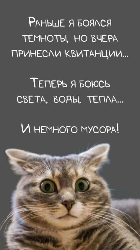 Раньше я боялся темноты, но вчера принесли квитанции...
Теперь я боюсь света, воды, тепла...
И немного мусора!
