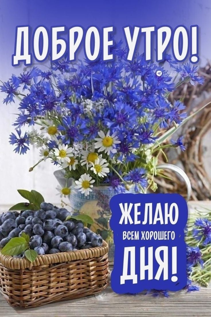 ДОБРОЕ УТРО! ЖЕЛАЮ ВСЕМ ХОРОШЕГО ДНЯ!