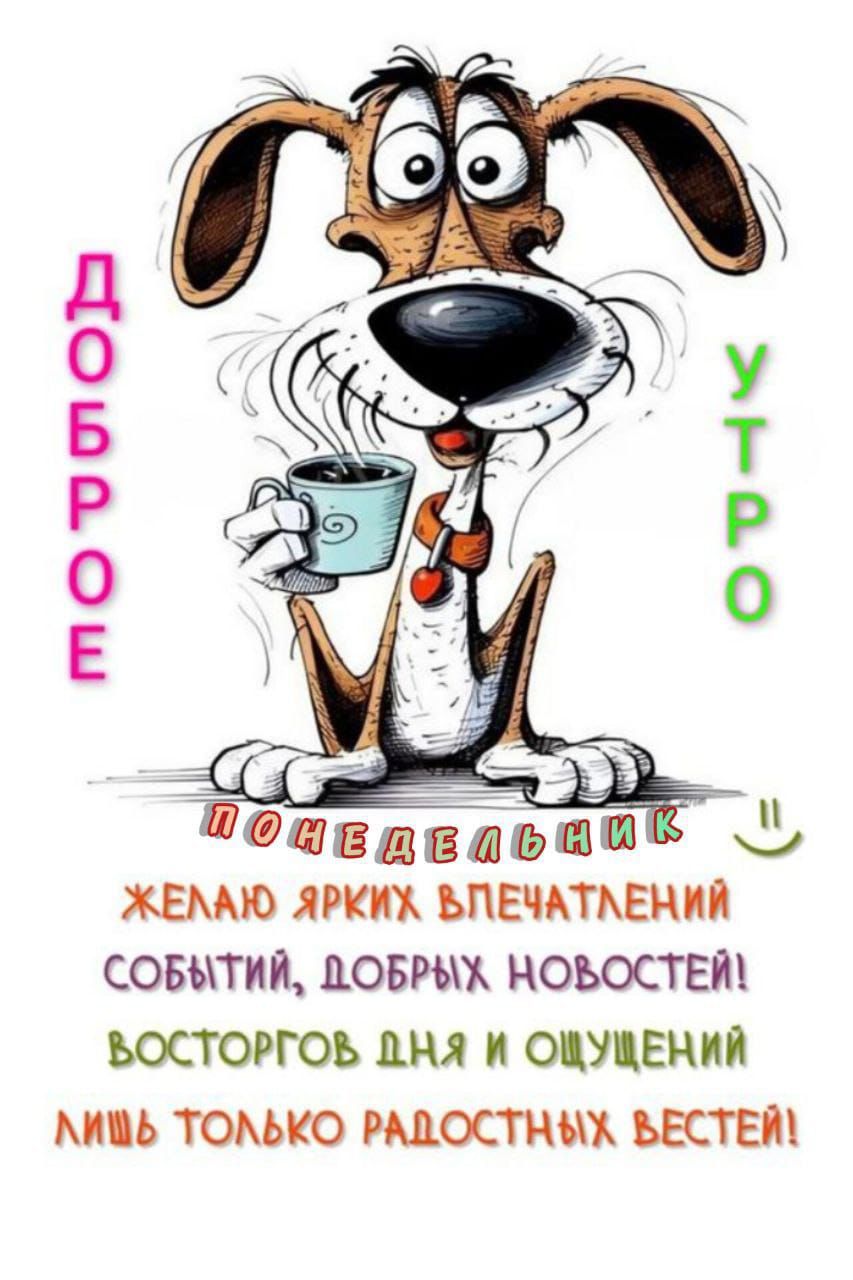 ДОБРОЕ УТРО
Желаю ярких впечатлений, событий, добрых новостей! Восторгов дня и ощущений лишь только радостных вестей!