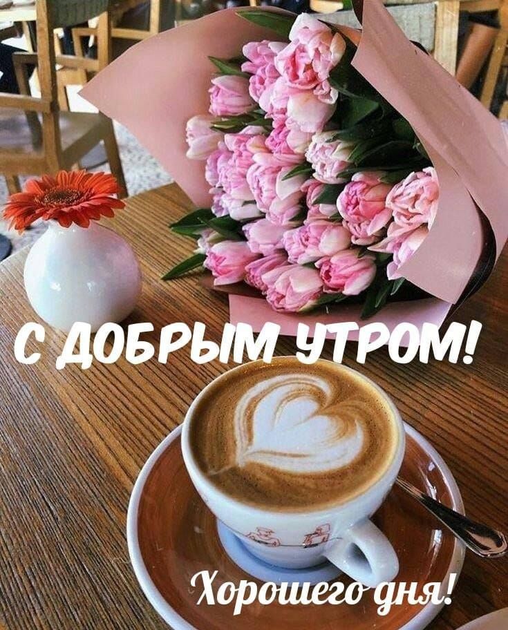 С ДОБРЫМ УТРОМ! Хорошего дня!