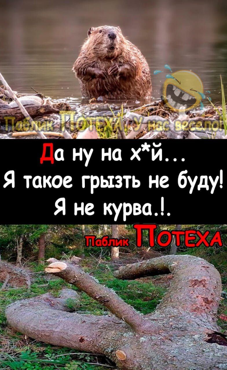 Да ну на х*й... Я такое грызть не буду! Я не курва..!