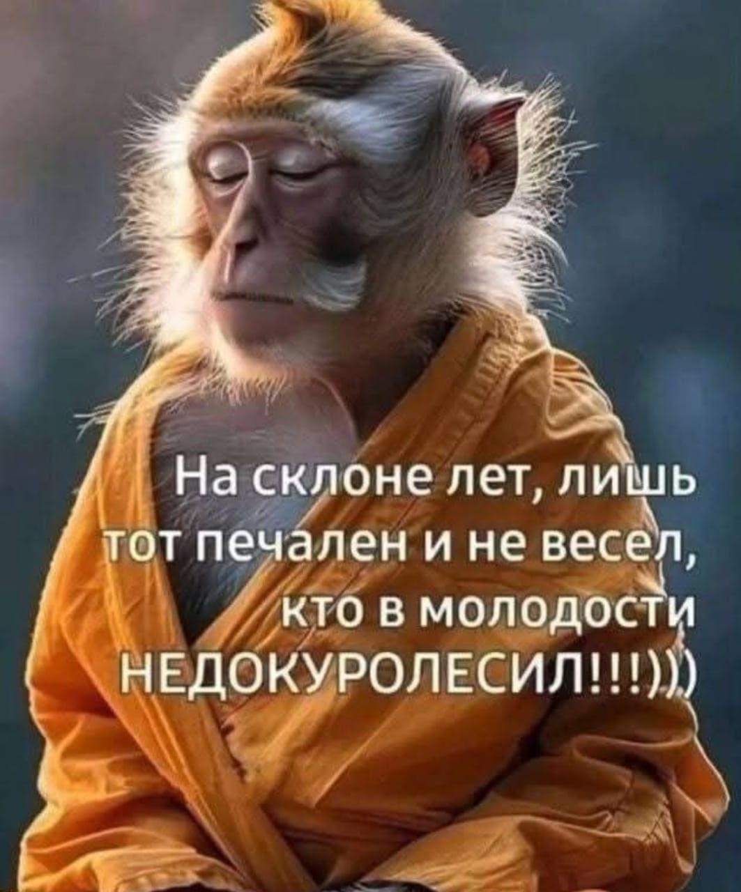 На склоне лет, лишь тот печален и не весел, кто в молодости НЕДОКУРОЛЕСИЛ!!!!))