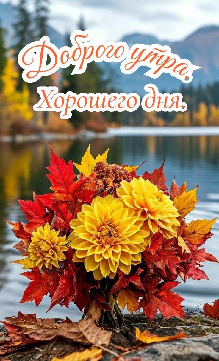 Доброе утро. Хорошего дня.