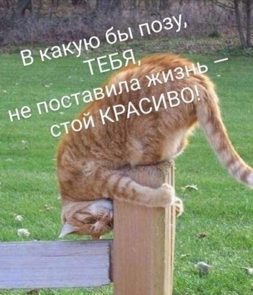 В какую бы позу, ТЕБЯ, не поставила жизнь – стой КРАСИВО!