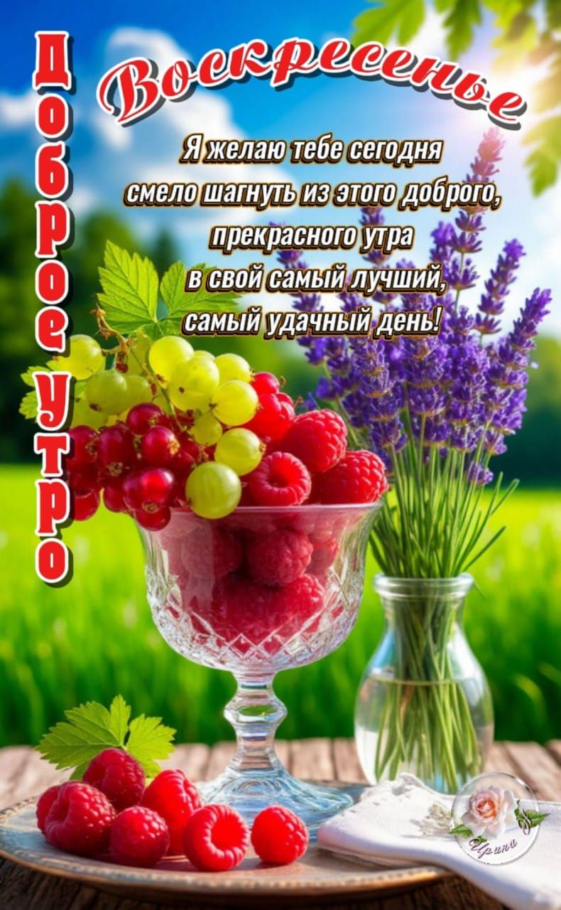 Воскресенье
Я желаю тебе сегодня
смело шагнуть из этого доброго,
прекрасного утра
в свой самый лучший,
самый удачный день!
