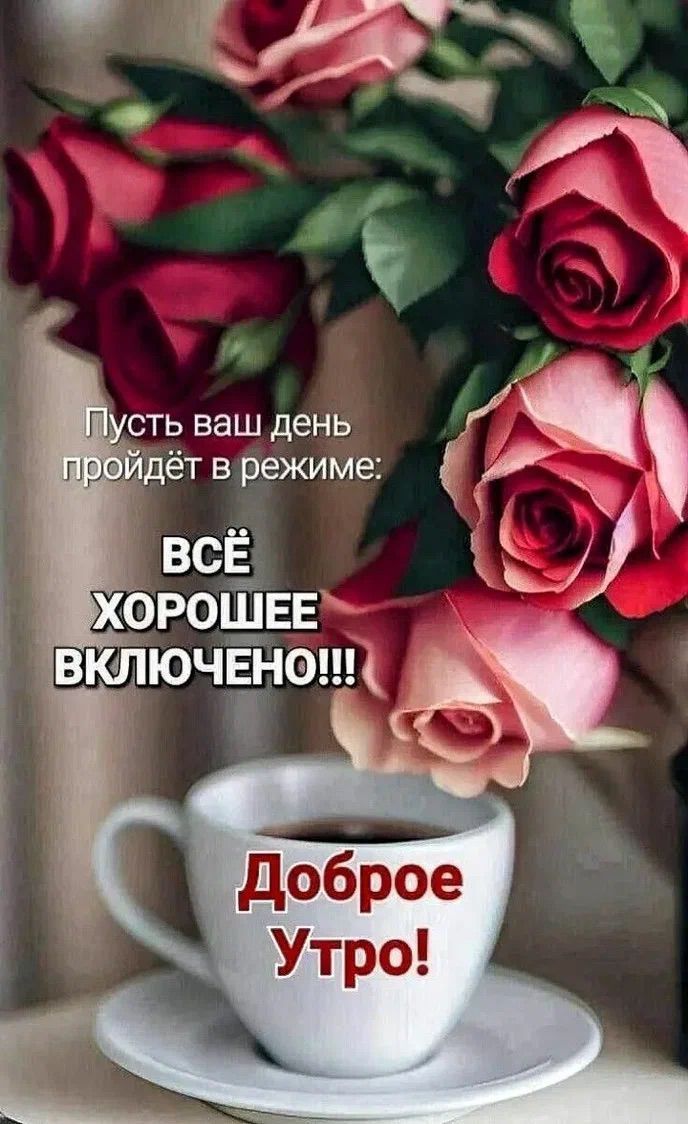 Пусть ваш день пройдёт в режиме: ВСЁ ХОРОШЕЕ ВКЛЮЧЕНО!!! Доброе Утро!