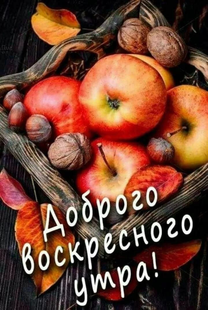 Доброе воскресное утро!