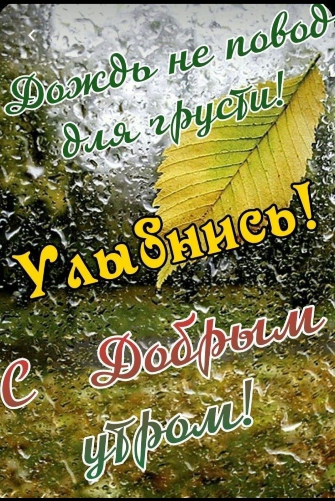 Дождь не повод для грусти! Улыбнись! С Добрым утром!