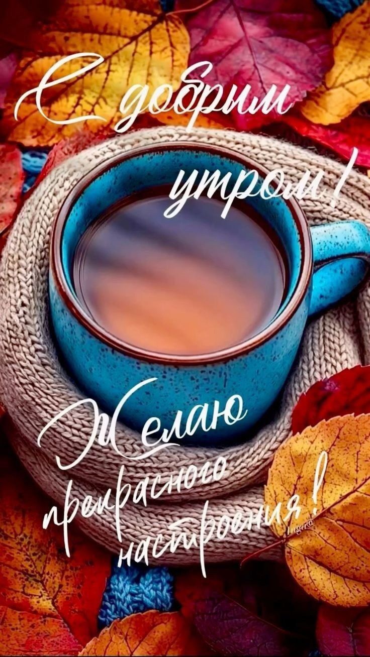 С добрым утром! Желаю прекрасного настроения!