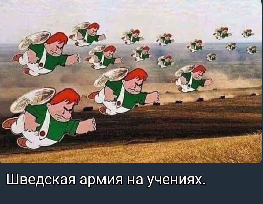 Шведская армия на учениях.