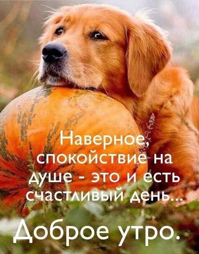 Наверное, спокойствие на душе - это и есть счастливый день... Доброе утро.