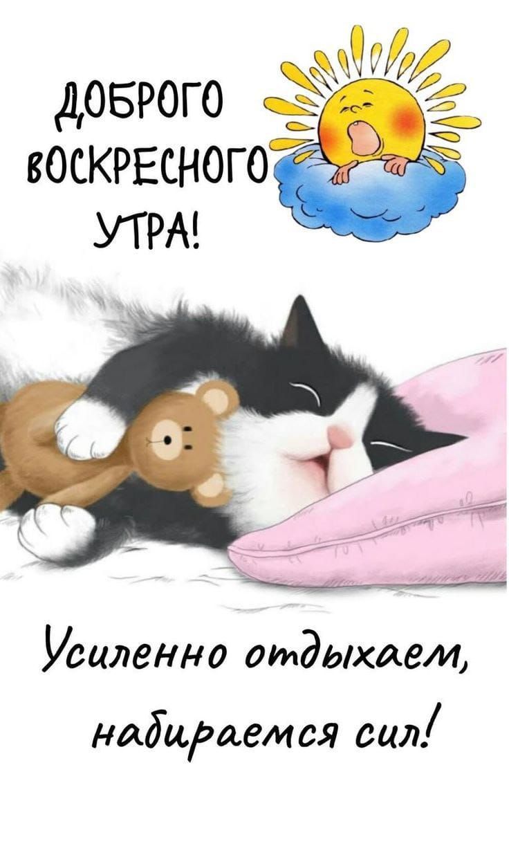 ДОБРОГО ВОСКРЕСНОГО УТРА! Усиленно отдыхаем, набираемся сил!
