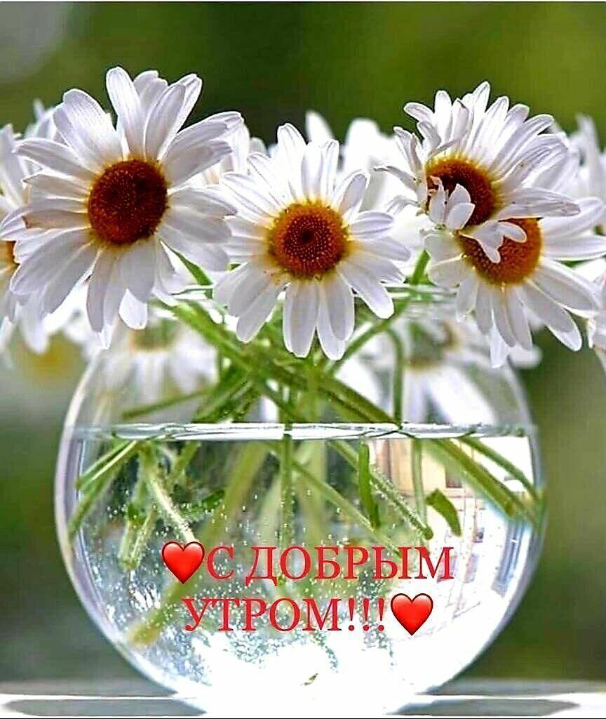 ❤️ С ДОБРЫМ УТРОМ!!! ❤️