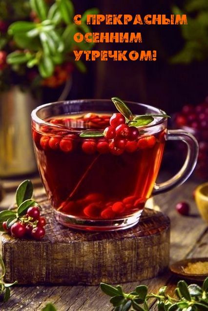С ПРЕКРАСНЫМ ОСЕННИМ УТРЕЧКОМ!
