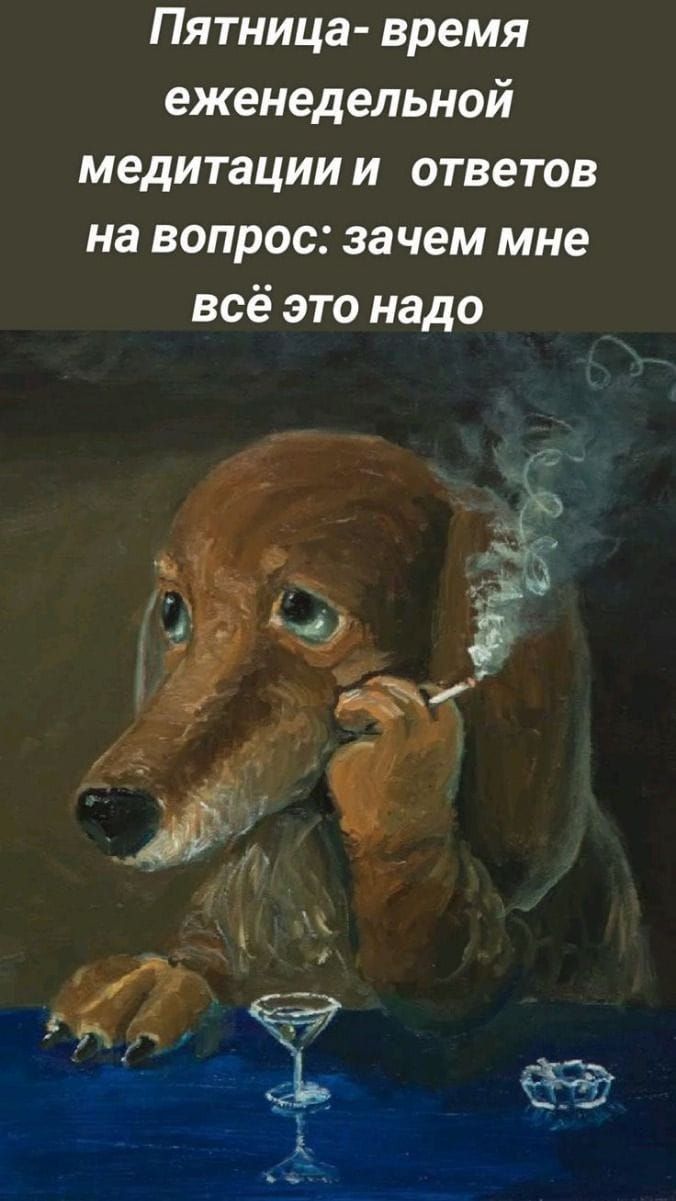 Пятница- время еженедельной медитации и ответов на вопрос: зачем мне всё это надо