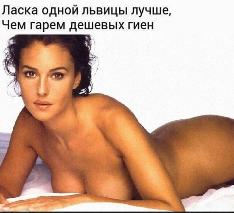 Ласка одной львицы лучше, Чем гарем дешевых гиен