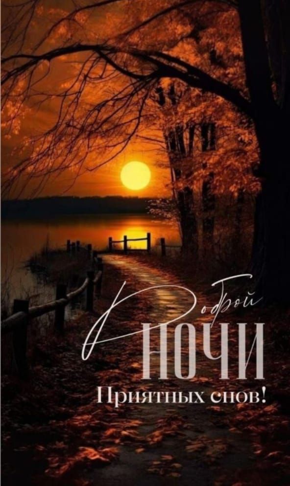 Доброй Ночи Приятных снов!