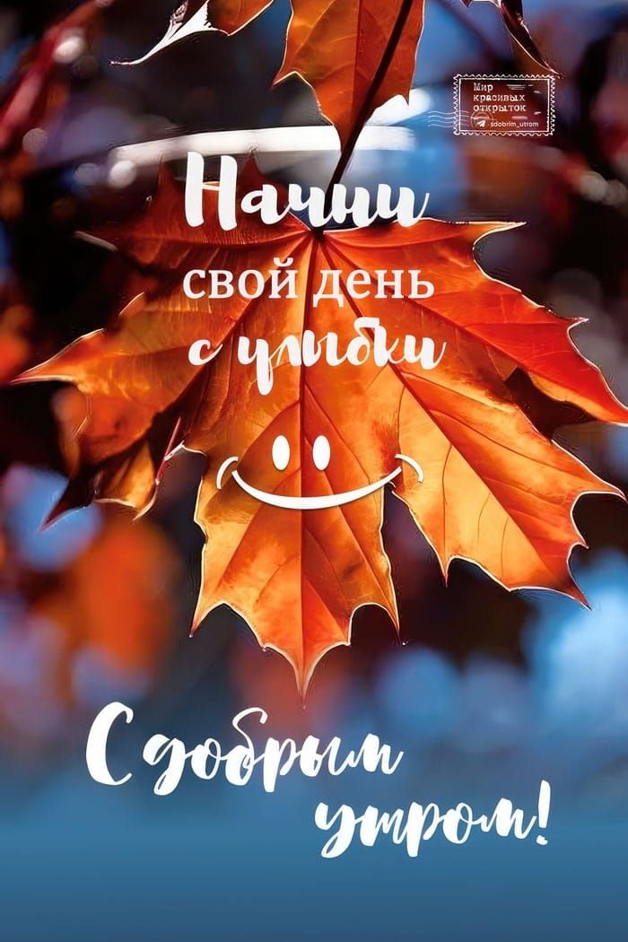 Начни свой день с улыбки
С добрым утром!