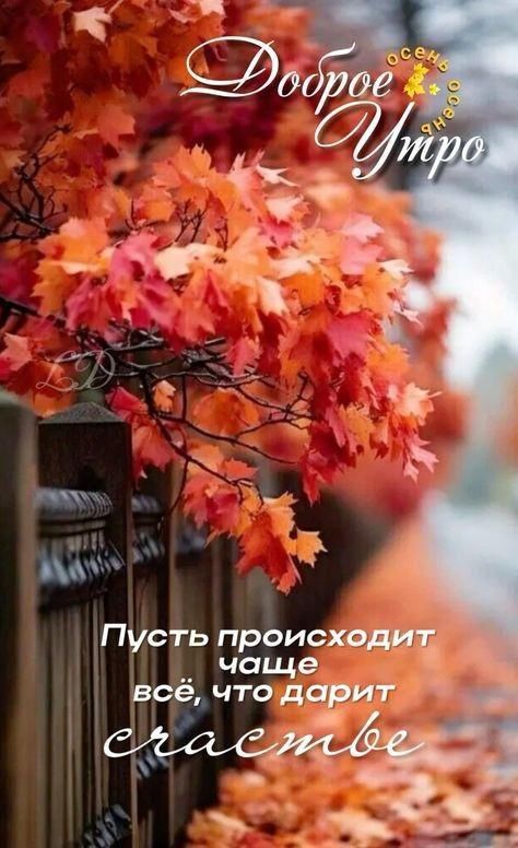 Доброе Утро
Пусть происходит чаще всё, что дарит счастье