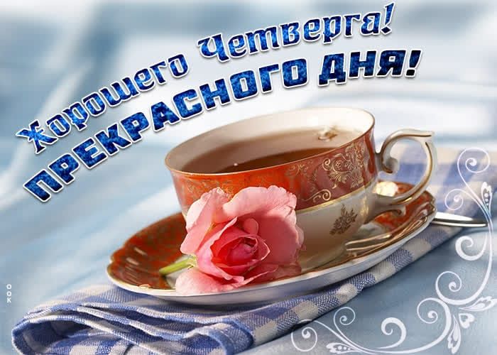Хорошего четверга! прекрасного дня!